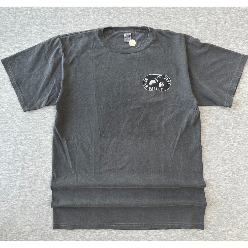 Vintage 90s 1990s Ski Bear Big Bear Mountain Resort Tee Shirt
